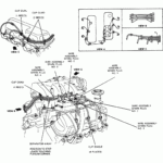 03 Ford Ranger 3 0 Firing Order Wiring And Printable