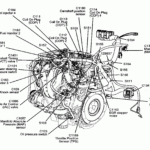 05 Ford Escape 3 0 Firing Order Wiring And Printable