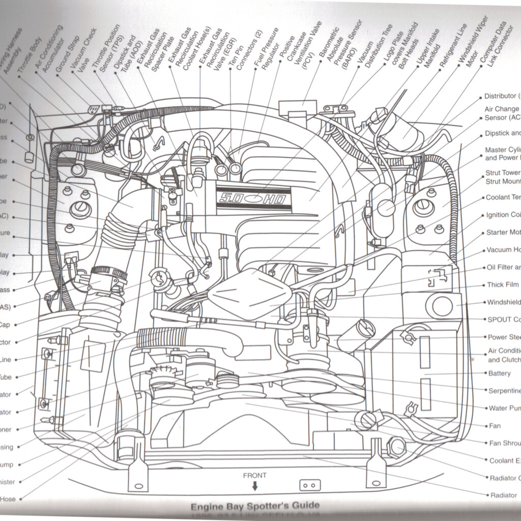 1991 Ford F150 5 0 Firing Order Wiring And Printable