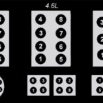 1991 Ford F150 Firing Order Wiring And Printable