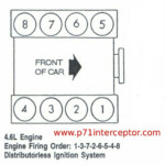 1993 Ford 302 Firing Order Wiring And Printable