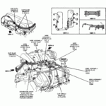 1994 Ford Ranger 4 0 V6 Firing Order Wiring And Printable