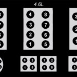 1995 Ford F150 Firing Order Wiring And Printable