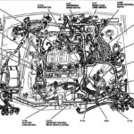 1999 Ford Expedition Firing Order Ford Firing Order