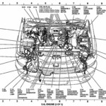 2000 Ford Focus 2 0 Firing Order Wiring And Printable