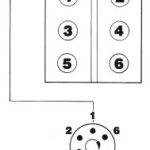 2000 Ford Ranger 40 Firing Order Diagram