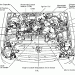 2001 Ford Ranger 3 0 Vin U Firing Order Wiring And Printable