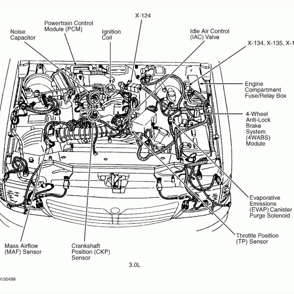 2004 Ford Escape 6 Cylinder Firing Order Wiring And Printable