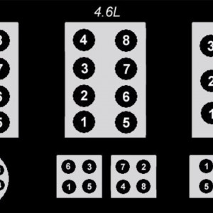 2004 Ford Expedition Firing Order Wiring And Printable