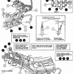 2005 Ford Freestar 3 9 L Firing Order Ford Firing Order Printable