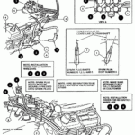 2005 Ford Freestar Firing Order Ford Firing Order Printable Calendar