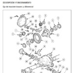 Diagrama De Fia o El trica Do C rebro Diagrama De Banda Motor Ford 4 6