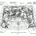 Firing Order 2004 Ford Ranger 3 0 Engine Wiring And Printable