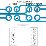 Ford 5 0L Coyote Firing Order Wiring And Printable