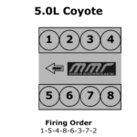 Ford Coyote Firing Order Ford Firing Order