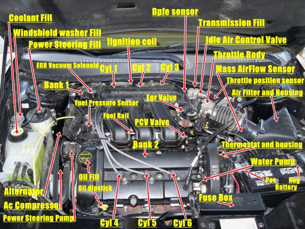 Ford Taurus Firing Order Coil Ford Firing Order