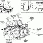 I Need The Firing Order On A 92 Ford Explorer With A 4 0 L V6 Efi