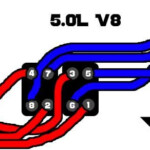 Spark Plug Wiring Diagram Needed firing Order Ford Explorer Spark