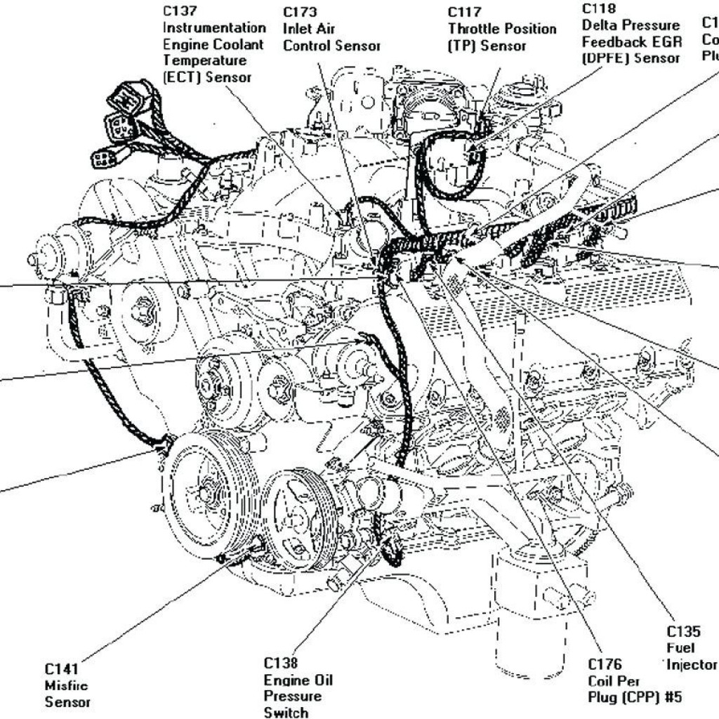 Wn 9253 5 4 Liter Engine Firing Order Diagram Schematic Wiring 