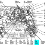 2000 Ford 4 2 Firing Order Wiring And Printable