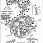 2001 Ford F150 4 6 Firing Order Diagram Wiring And Printable