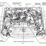 2004 Ford Taurus 3 0 Firing Order Wiring And Printable