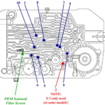 2005 Ford Freestar 4 2 Firing Order Wiring And Printable