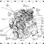 2006 Ford Freestar 4 2 Firing Order Wiring And Printable