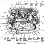 2013 Ford Escape 1 6 Firing Order Wiring And Printable