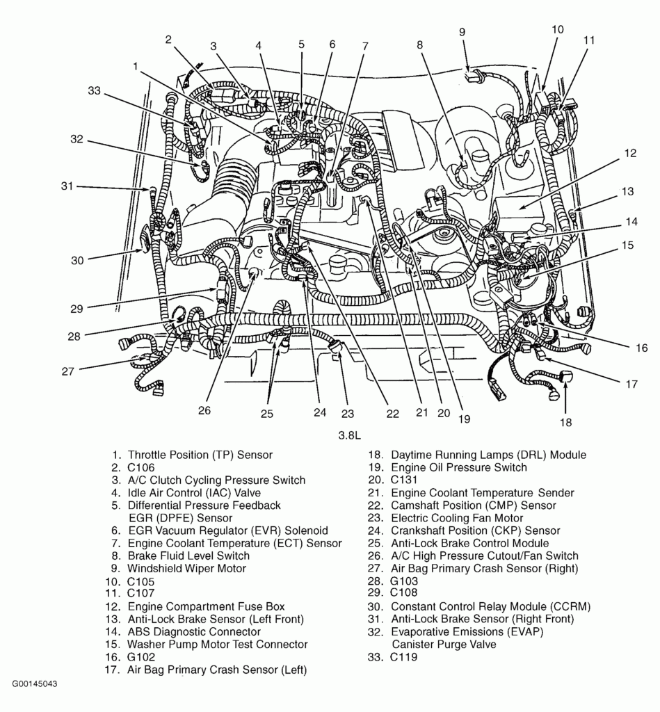 99 Ford Mustang 3 8 Firing Order Wiring And Printable