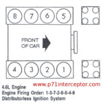 Ford Crown Victoria 4 6L Firing Order Spark Plug Ford Focus Ford