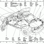 YESTERDAY I Purchased A 1998 Ford Escort SE With 75k Miles After