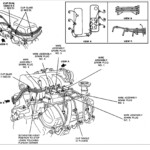 1996 Ford Explorer Engine Wiring Diagram And Firing Order Wiring And