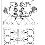 1999 Ford Ranger 3 0 Coil Pack Firing Order 2023 Firing order