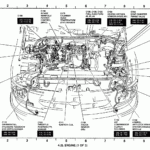 2000 Ford Expedition 5 4 L Firing Order Wiring And Printable