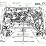 2000 Ford Ranger 2 5 Firing Order Wiring And Printable