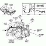 2001 Ford Explorer 4 0 Firing Order Wiring And Printable