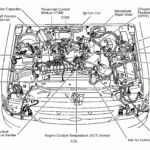 2003 Ford Explorer 4 0 L Firing Order Wiring And Printable