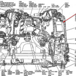 2008 Ford Crown Victoria Firing Order Ford Firing Order