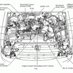 Engine Wiring Diagram For 7 Ford Ranger Oil Ford Ranger 2004 Ford