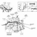 Firing Order 2004 Ford Ranger 3 0 Wiring And Printable