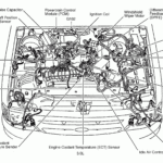 Ford Escape 2002 Engine Diagram V6