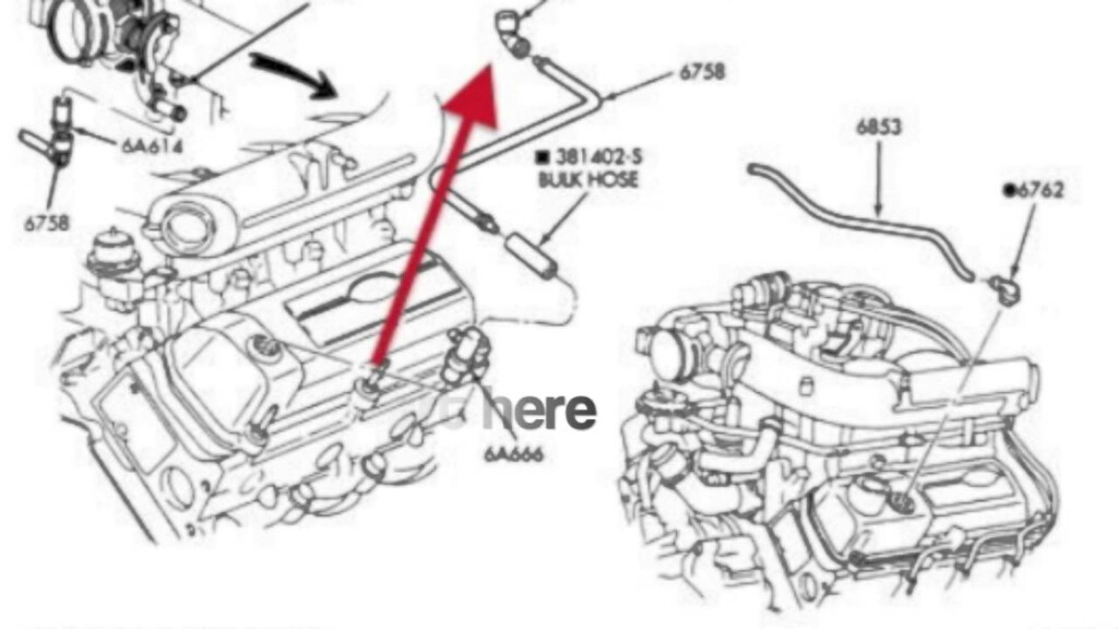 Ford F150 4 2 Firing Order Wiring And Printable