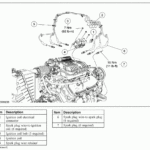 Ford Ka Firing Order Diagram Wiring And Printable